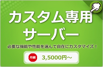 ホスティングサーバー：esのレンタルサーバーは確実・本格派