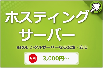 カスタム専用サーバー：esのレンタルサーバーなら安定・安心